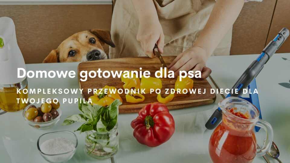 domowe gotowanie dla psa blog dogsprofit 01